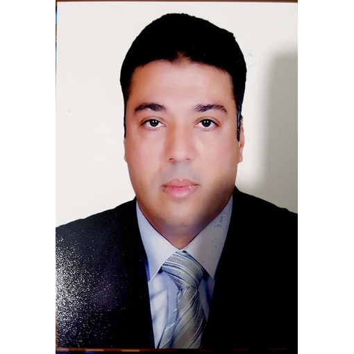 أ.د. محمد جودة هنداوى